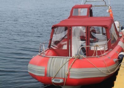 Ush Boating pingüinera combinada_ 9