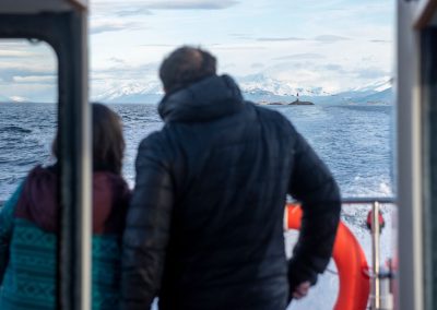 Sea Boat navegacion 10