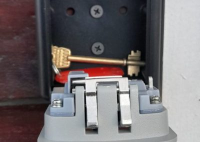 Luna patagonica - sistema llave