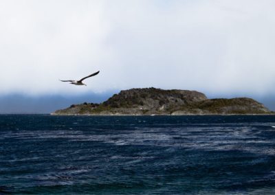 Birdwatchin3