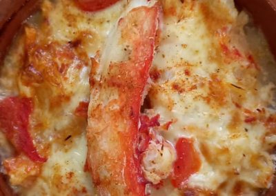 Onas resto y navegación puerto almanza y pingüinera_8