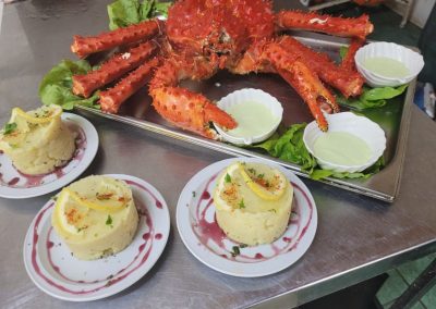 Onas resto y navegación puerto almanza y pingüinera_7