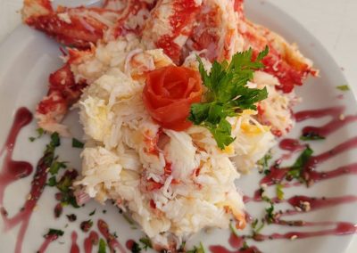 Onas resto y navegación puerto almanza y pingüinera_5